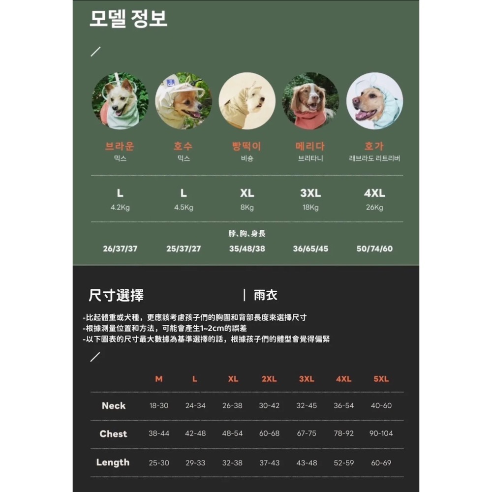 PG全天候防水雨衣｜M-5XL-細節圖7