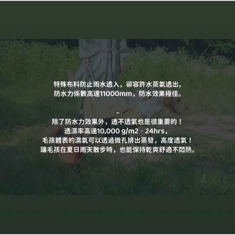 PG全天候防水雨衣｜M-5XL-細節圖8