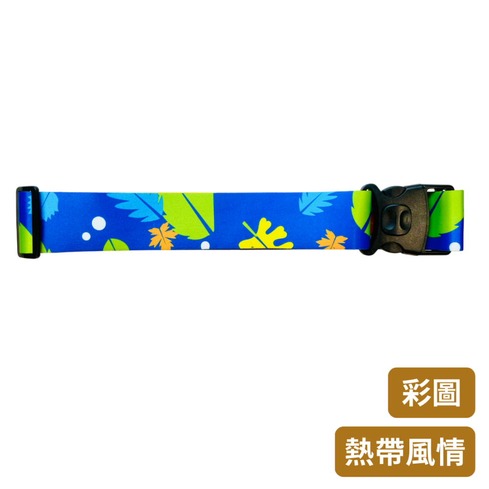 【彩圖】熱帶風情