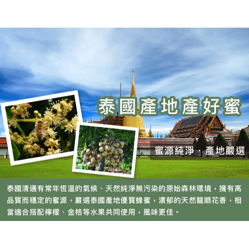 ｜Mr.HONEY 蜂蜜先生｜泰國-龍眼蜂蜜(240g) THAILAND HONEY - LONGAN-細節圖3
