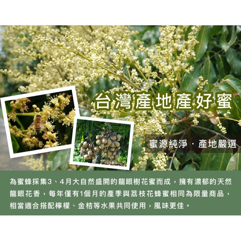 ｜Mr.HONEY 蜂蜜先生｜台灣-龍眼蜂蜜(240g) TAIWAN HONEY - LONGAN-細節圖3