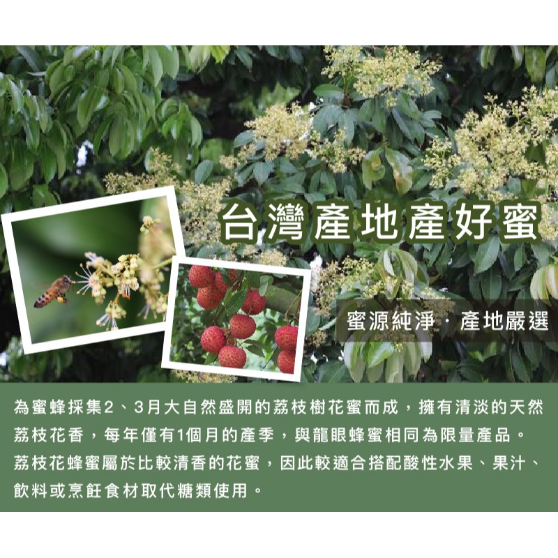 ｜Mr.HONEY 蜂蜜先生｜台灣-荔枝蜂蜜(240g) TAIWAN HONEY - LYCHEE-細節圖3