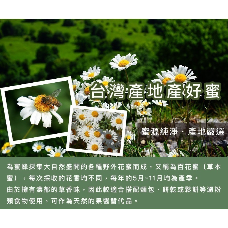 ｜Mr.HONEY 蜂蜜先生｜台灣-野花蜂蜜(240g) TAIWAN HONEY - HERBACEOUS-細節圖3