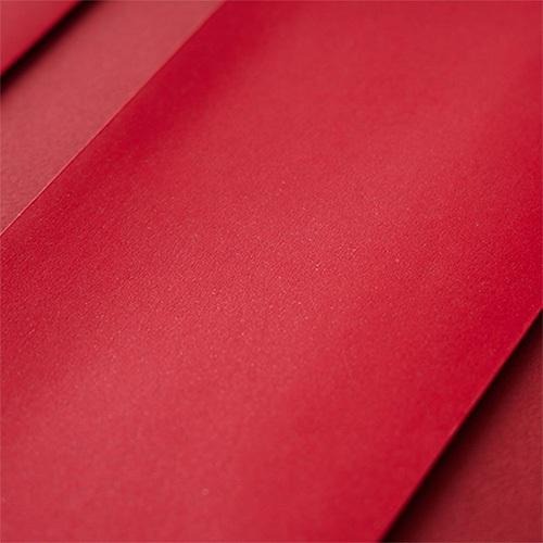 2025蛇年紅包袋/畫蛇添福 (公版10入裝) #1815-細節圖3