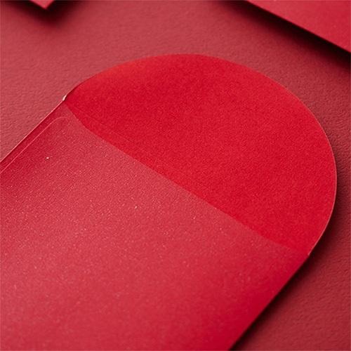 2025蛇年紅包袋/Happy New Year (公版10入裝) #1805-細節圖2