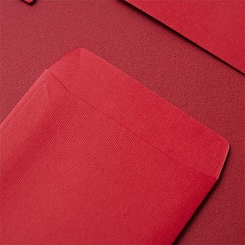 2025蛇年紅包袋/金蛇吉祥 (公版10入裝) #1502-細節圖2