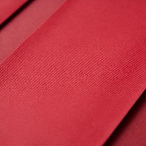 2025蛇年紅包袋/金蛇吉祥 (公版10入裝) #1502-細節圖3