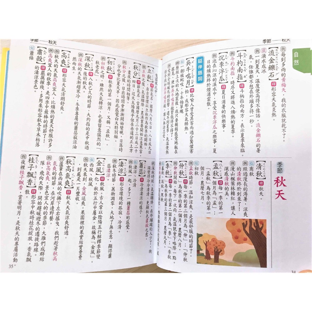 學生作文必備語詞選 ( 32K 、精裝、附外盒 )-細節圖3