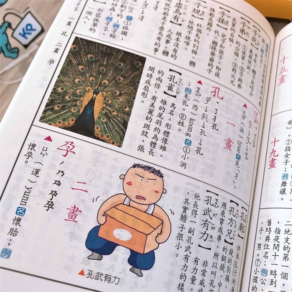 【KP小店】最新彩色國語大辭典  ( 25k、全彩、精裝、附外盒)-細節圖8