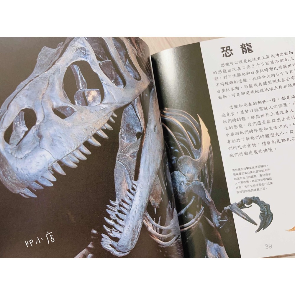 【KP小店】Discovery  兒童恐龍大百科-細節圖2