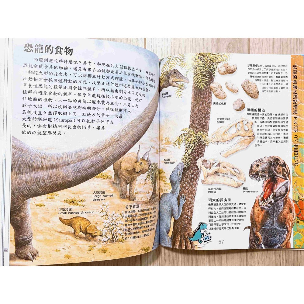 【KP小店】Discovery  兒童恐龍大百科-細節圖3