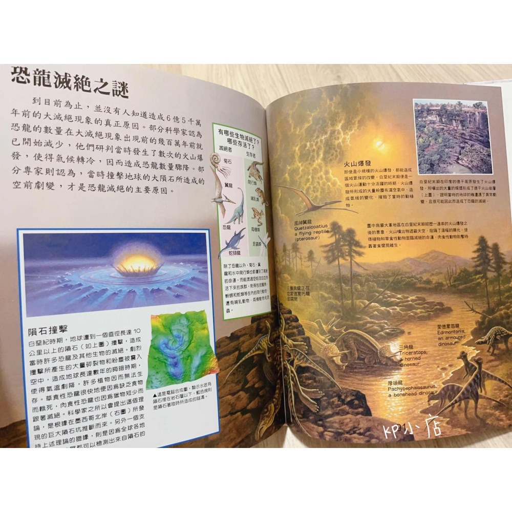 【KP小店】Discovery  兒童恐龍大百科-細節圖6
