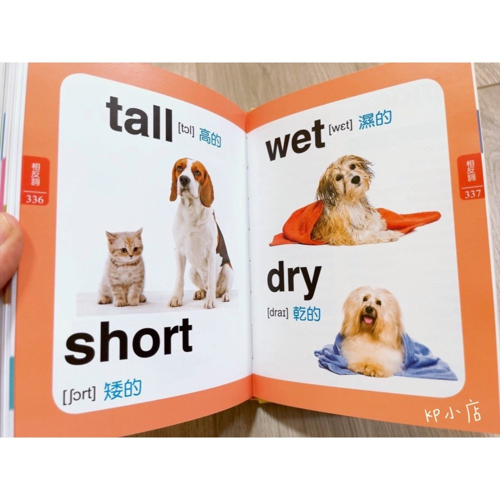【KP小店】兒童基礎英語500單字（附 QR 音檔 )-細節圖7
