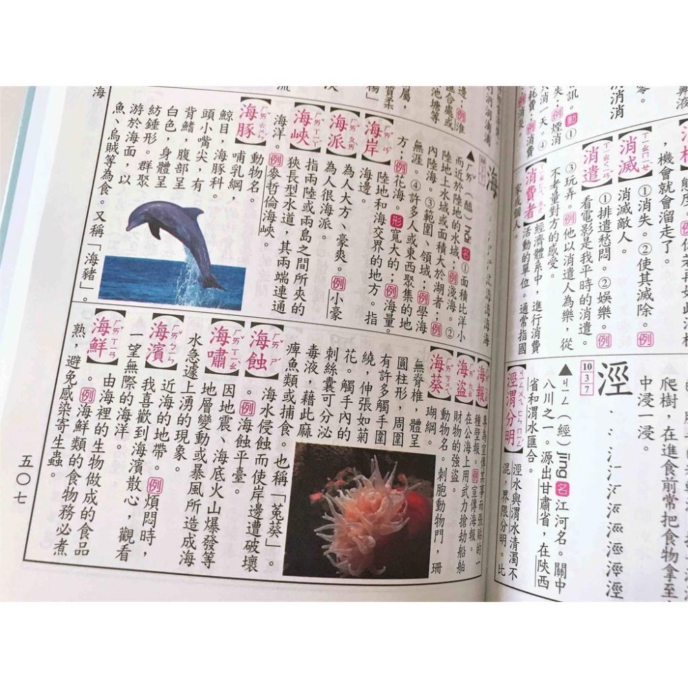 【KP小店】2025.11月 最新版  彩色新編國語辭典 ( 精裝、32K )-細節圖8