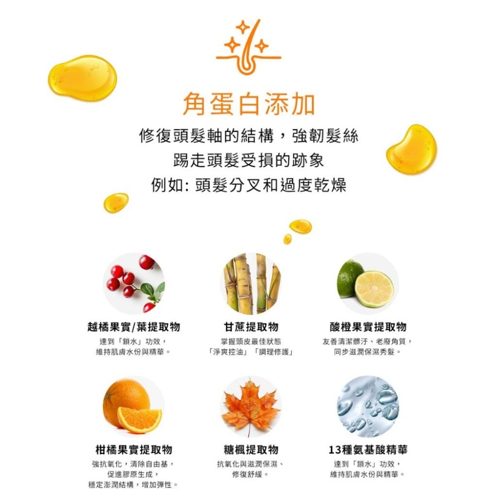 🍀有發票🍀FLAVOUR 角蛋白氨基酸洗髮精 角蛋白氨基酸潤髮乳 積雪草氨基酸沐浴乳 500ml 木質麝香調-細節圖8