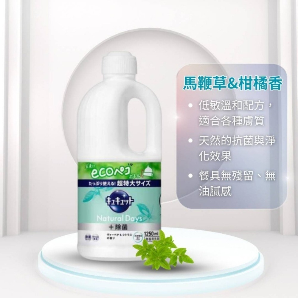 🍀有發票🍀 日本Kao花王 抑菌洗碗精 大容量1250ml 花王洗碗精 補充瓶 沒壓頭-細節圖4