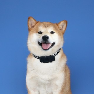 『寵心所欲』寵物項圈Air tag保護套項圈寵物牽引繩狗狗項圈牽引繩套裝-細節圖6