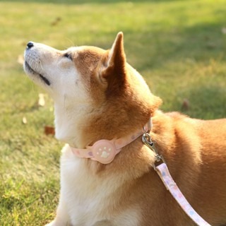 『寵心所欲』寵物項圈Air tag保護套項圈寵物牽引繩狗狗項圈牽引繩套裝-細節圖8