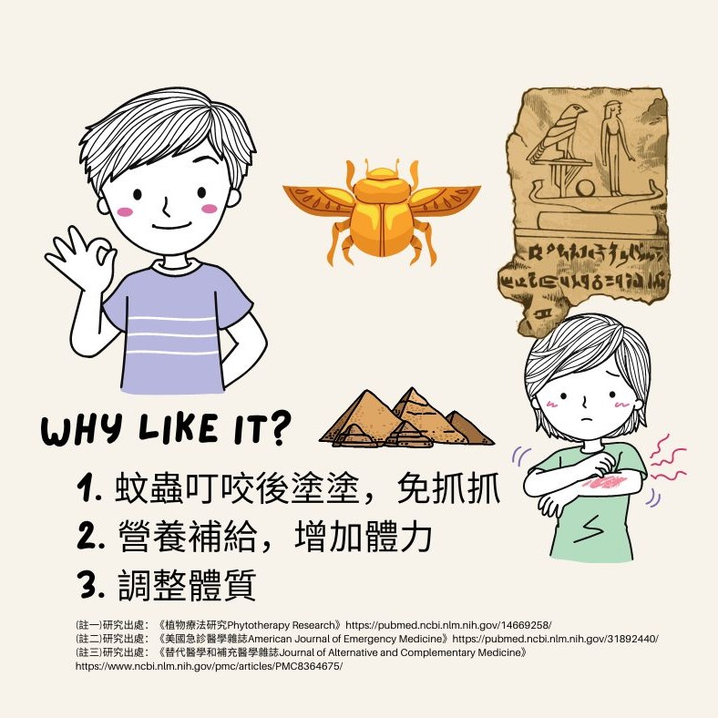 【超級食物專賣店】100%黑種草籽油 / 古埃及皇室御用聖品-細節圖3