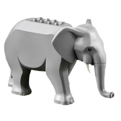 【小荳樂高】LEGO 城市系列 動物 大象 (短牙) elephant2c02 60302