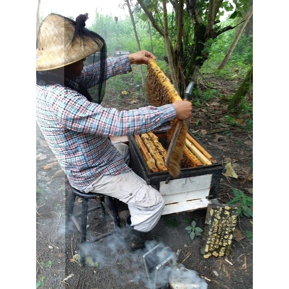 🌟台灣100%純天然蜂蜜 🌟超便宜加量版300ml-細節圖2