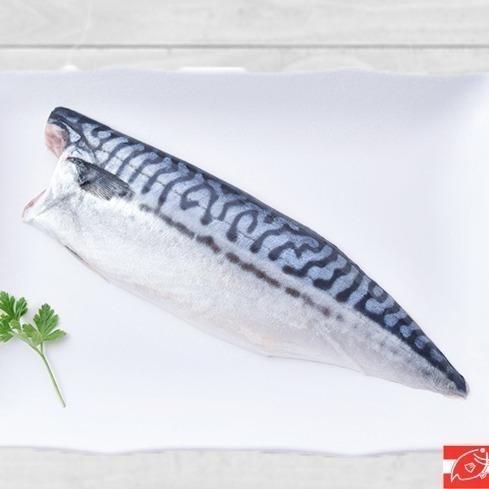 【朱太郎】鯖魚片-細節圖2