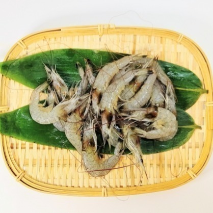 【朱太郎】生凍白蝦-細節圖2