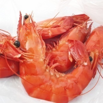 【朱太郎】南美大生白蝦-細節圖3