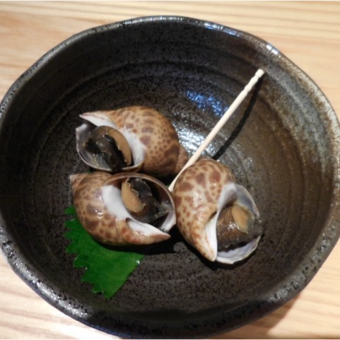 【朱太郎】冷凍鳯螺-細節圖2