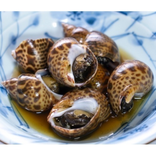 【朱太郎】冷凍鳯螺-細節圖3