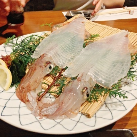 【朱太郎】活凍軟絲-細節圖2