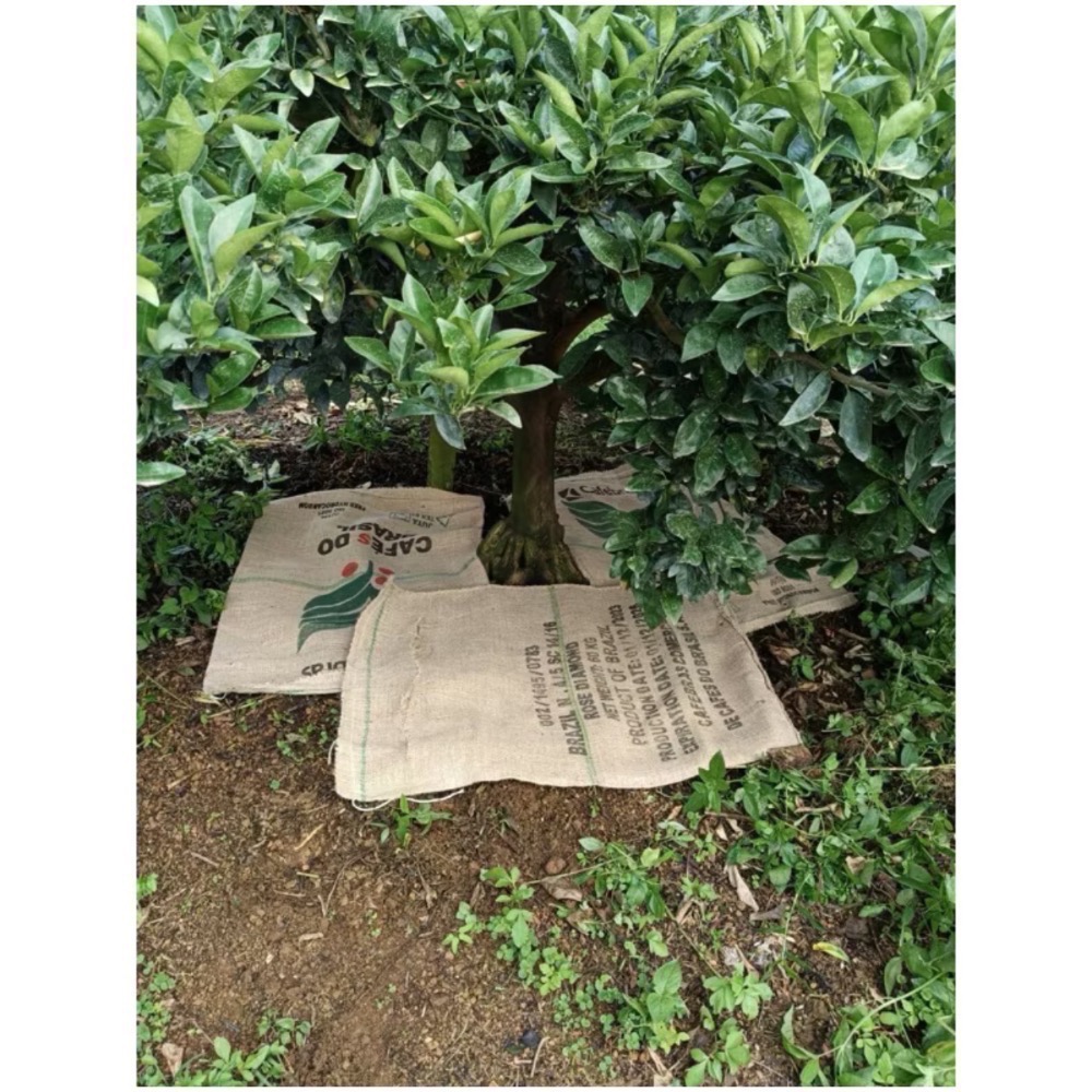 24H出貨（大的）二手咖啡麻布袋/個 麻布袋 麻袋 咖啡袋 拉鍊編織袋-細節圖2
