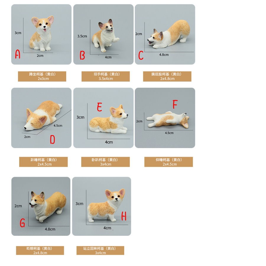 十犬十意狗來富，超可愛柯基 冰箱貼/磁鐵/造型磁鐵/立體磁鐵，大小號《全新現貨》-細節圖3