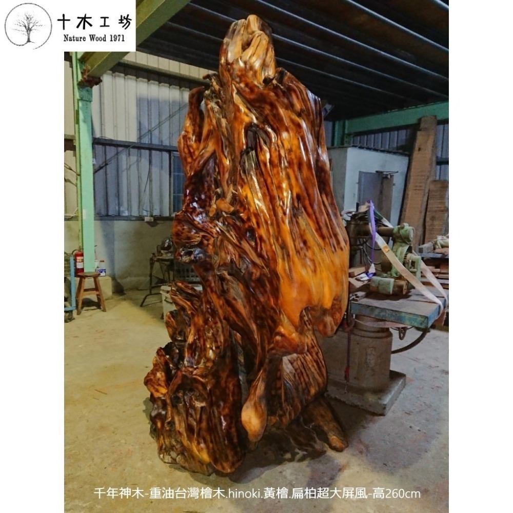 【十木工坊 】重油千年神木-台灣檜木.hinoki.黃檜.扁柏-#超大屏風-高260cm #收藏老件 #藏品 #原木風-細節圖3