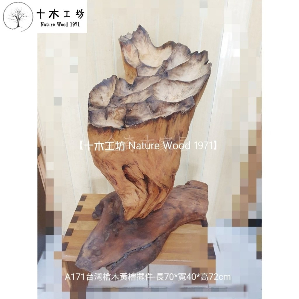 【十木工坊】台灣檜木黃檜擺件-長70x寬40x高72cm-A171.天雕奇木.造型擺設.裝置藝術.創作素材-細節圖2