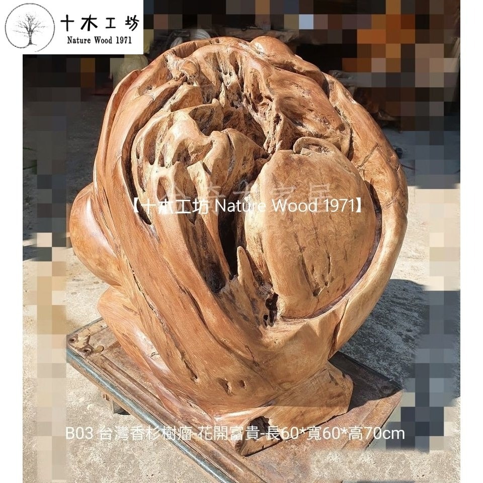 【十木工坊】台灣香杉樹瘤-花開富貴-長60x寬60x高70cm-B03.天雕奇木.造型擺設.裝置藝術.創作素材-細節圖2
