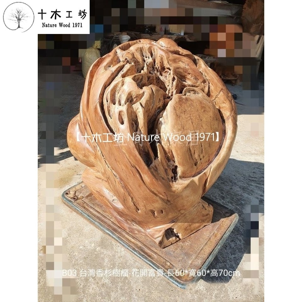 【十木工坊】台灣香杉樹瘤-花開富貴-長60x寬60x高70cm-B03.天雕奇木.造型擺設.裝置藝術.創作素材-細節圖3