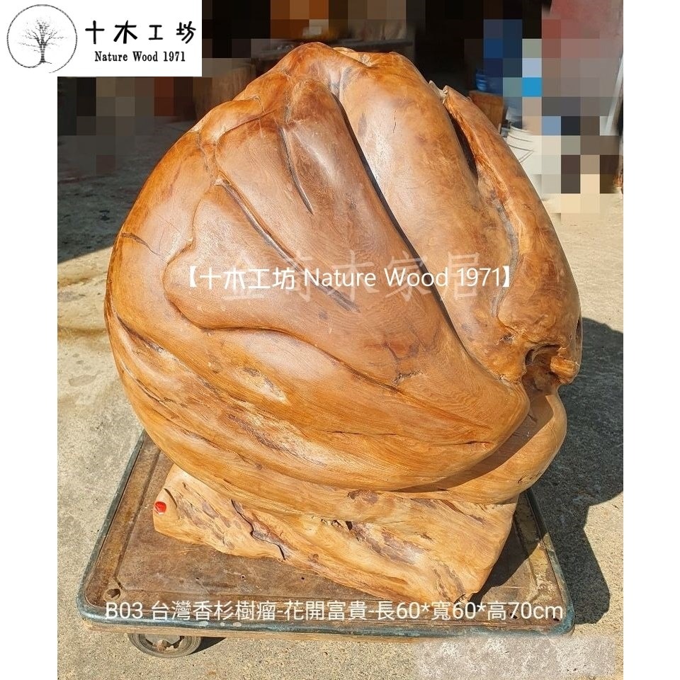 【十木工坊】台灣香杉樹瘤-花開富貴-長60x寬60x高70cm-B03.天雕奇木.造型擺設.裝置藝術.創作素材-細節圖3