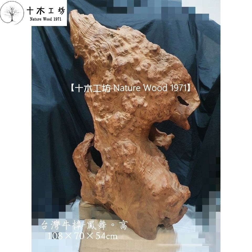 【十木工坊】台灣牛樟.閃花.樹瘤花-鳳舞-乾燥老料-高108cm.天雕奇木.造型擺設.裝置藝術.風水財位-細節圖2