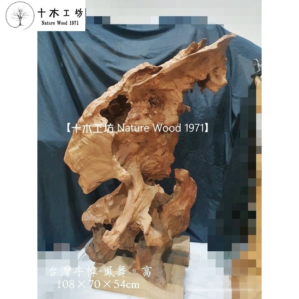 【十木工坊】台灣牛樟.閃花.樹瘤花-鳳舞-乾燥老料-高108cm.天雕奇木.造型擺設.裝置藝術.風水財位-細節圖3