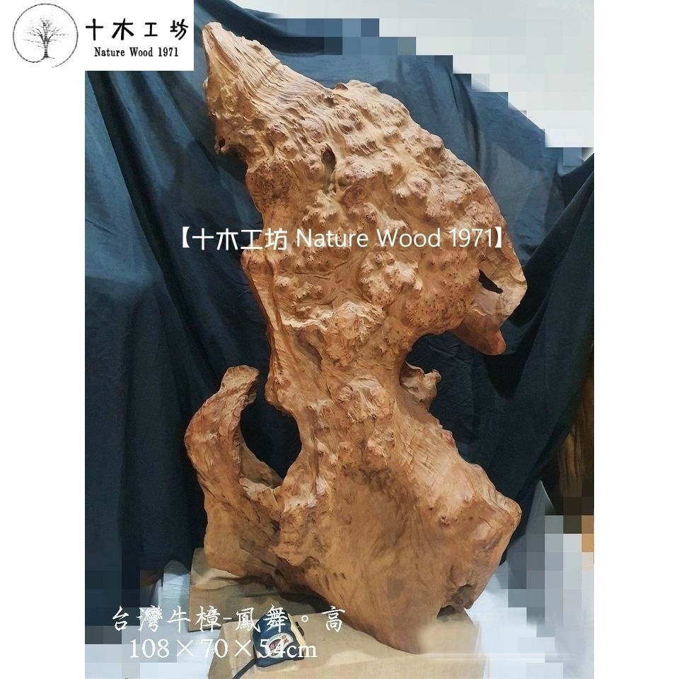 台灣牛樟鳳舞 高108cm 閃花樹瘤花 乾燥老料 天雕奇木 鳳凰展翅 博物館級 裝置藝術-細節圖3