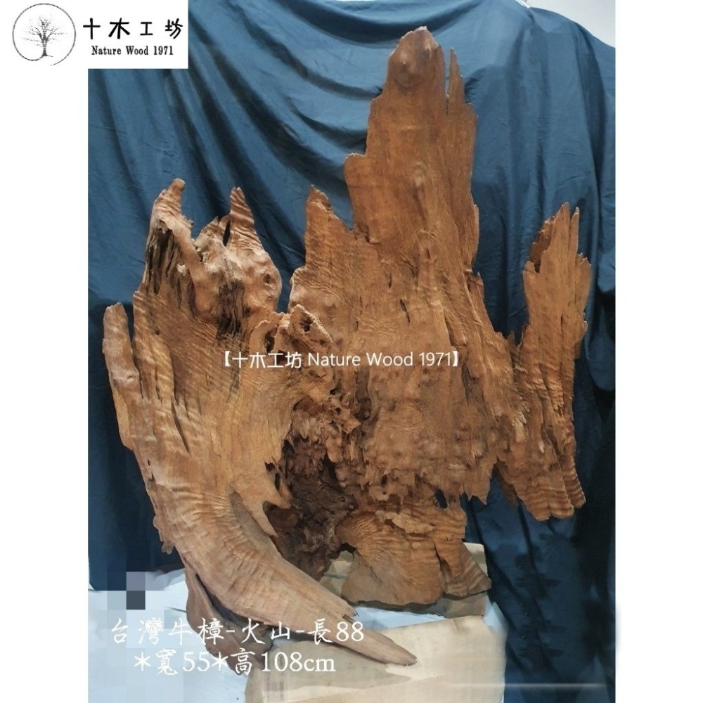 【十木工坊】台灣牛樟.閃花.樹瘤花-火山-乾燥老料-噴砂處理-高108cm-細節圖2