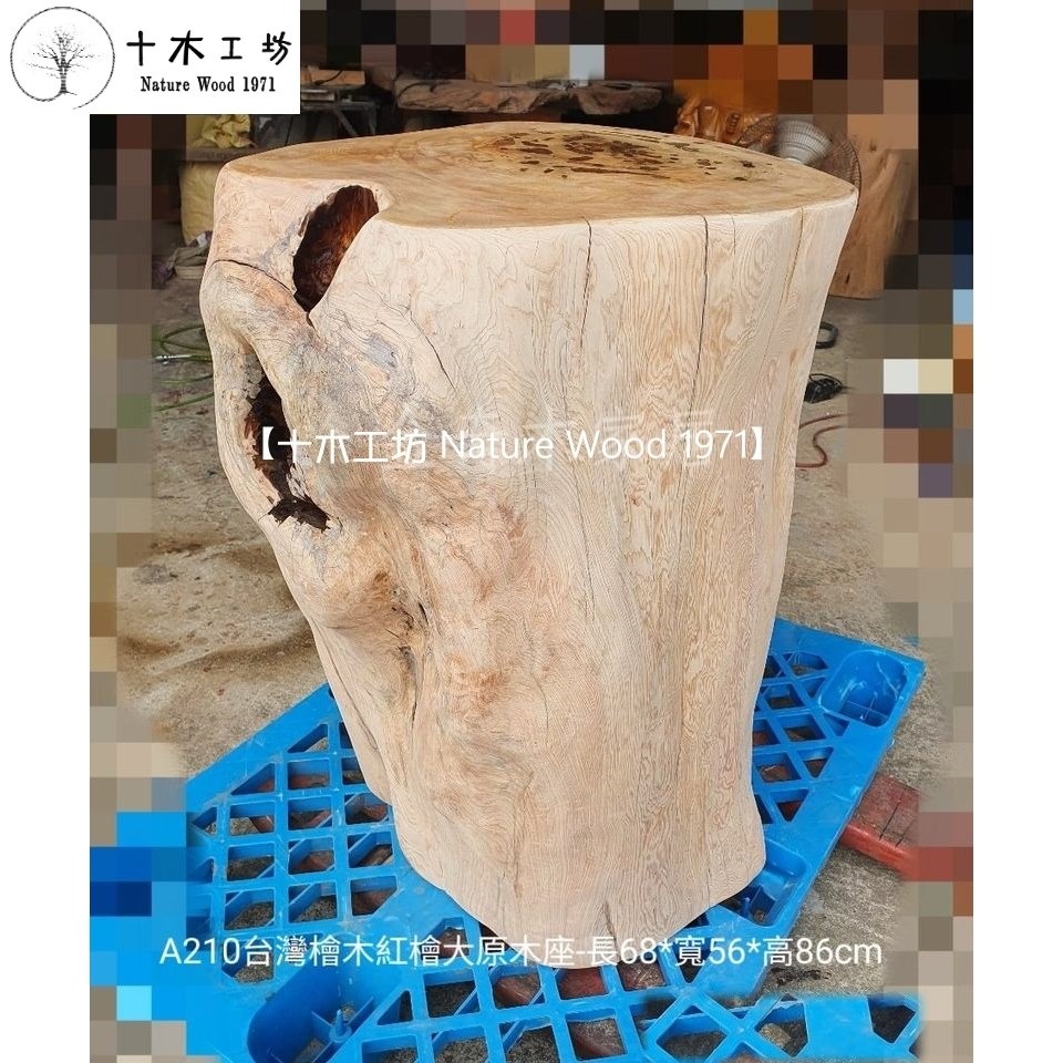【十木工坊】台灣檜木紅檜maniki.原木座.木墩.花台.檯座-長68*寬56*高86cm-A210-細節圖4