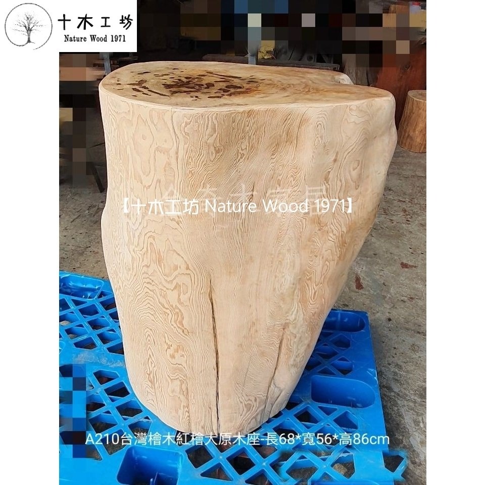 【十木工坊】台灣檜木紅檜maniki.原木座.木墩.花台.檯座-長68*寬56*高86cm-A210-細節圖5