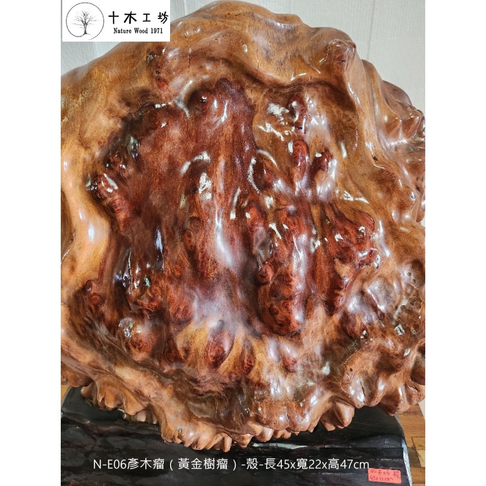 【十木工坊】彥木瘤（黃金樹瘤）-殼-長45×寬22×高47cm-N-E06-天雕奇木.造型擺設.裝置藝術.山林幽徑系列-細節圖3
