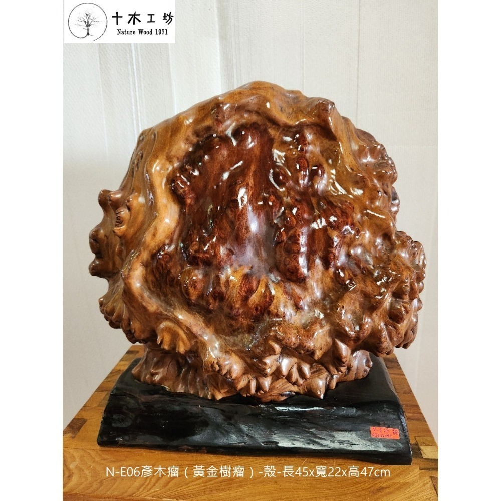 彥木瘤 黃金樹瘤 殼 山林幽徑 天雕奇木 高47cm N-E06 十木工坊-細節圖2