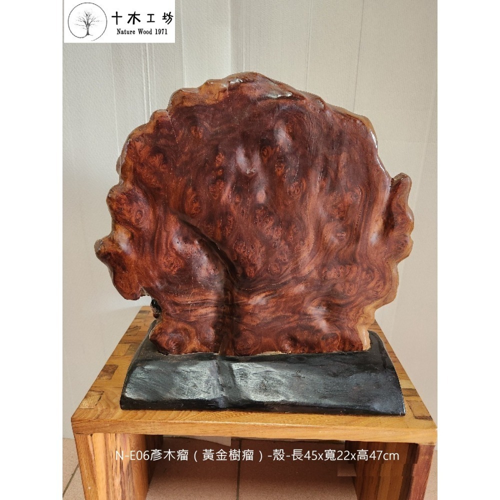 彥木瘤 黃金樹瘤 殼 山林幽徑 天雕奇木 高47cm N-E06 十木工坊-細節圖3