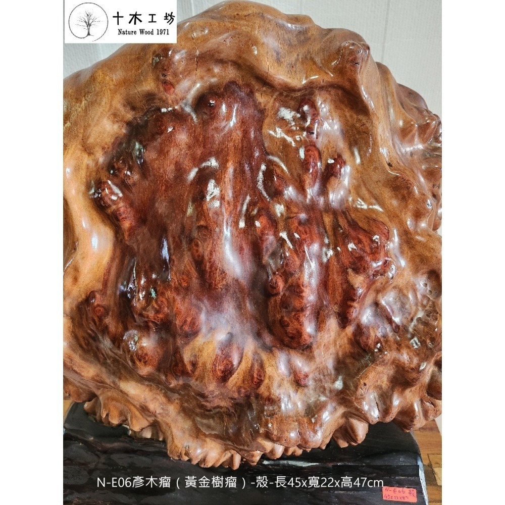 彥木瘤 黃金樹瘤 殼 山林幽徑 天雕奇木 高47cm N-E06 十木工坊-細節圖4