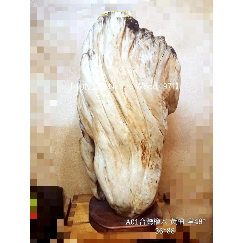 【十木工坊】台灣檜木黃檜-掌-高88cm-A01-細節圖2