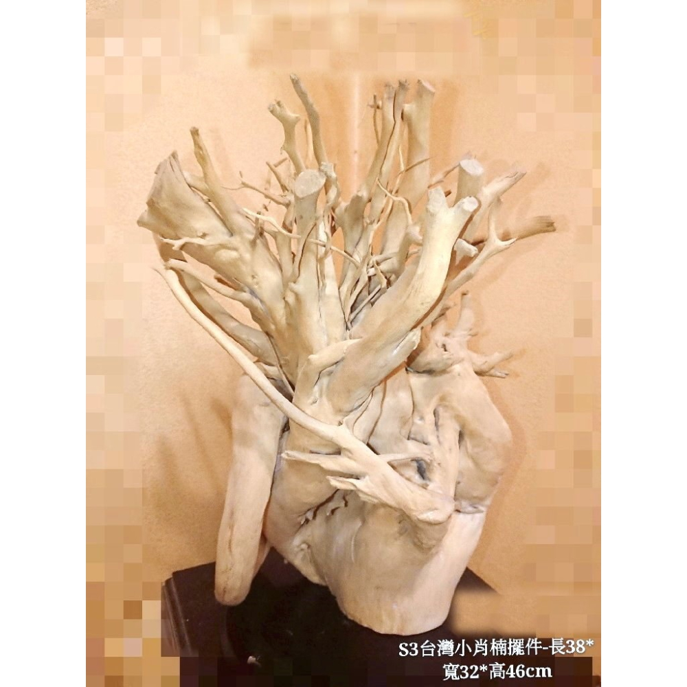 【十木工坊】S3台灣小肖楠擺件38x32x46(實木傢俱.原木桌.原木椅)-細節圖2